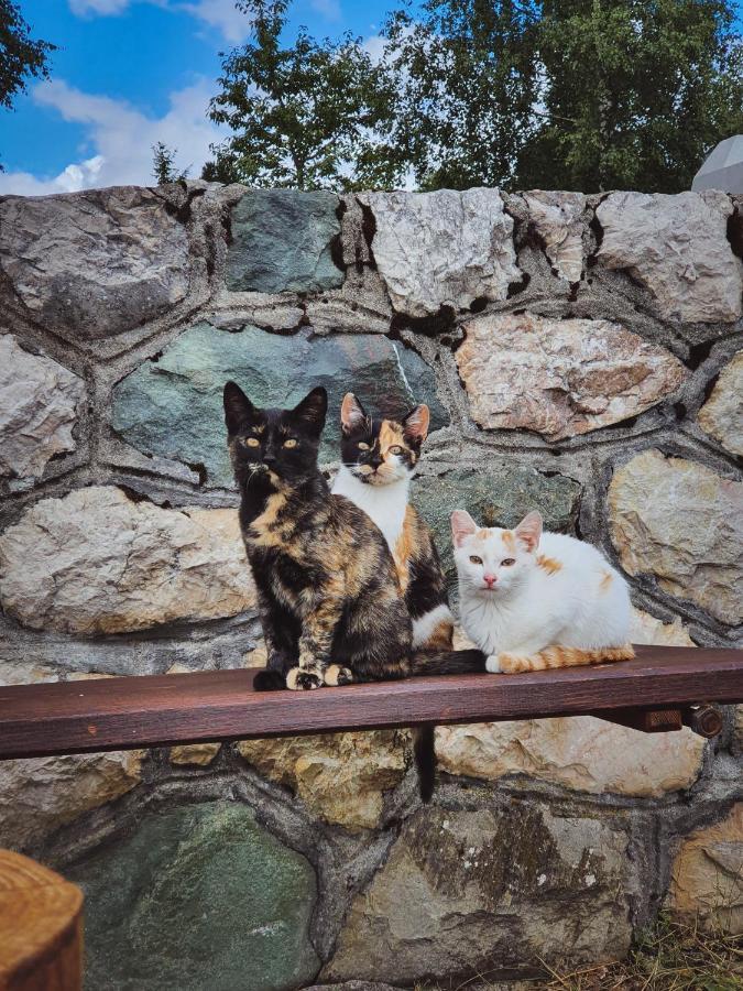 Apartmani Stari Gaj Zabljak  Bagian luar foto